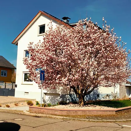 Moderne In Achern, Schwarzwald Apartament