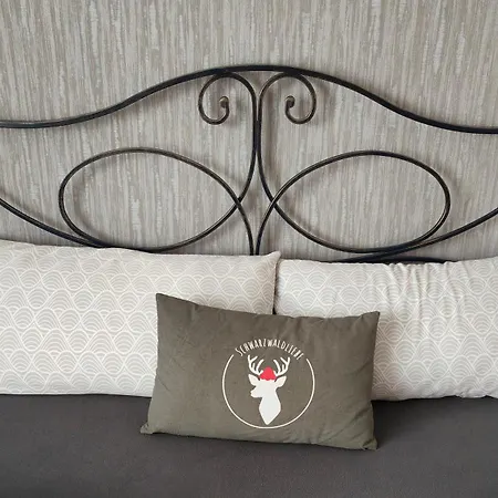 Apartament Moderne In Achern, Schwarzwald Achern