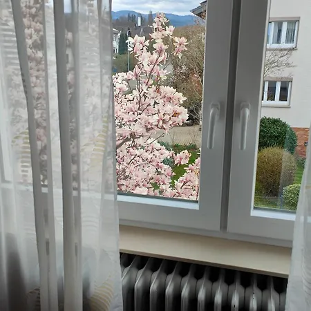 Moderne In Achern, Schwarzwald Apartament *