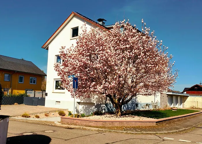 Moderne In Achern, Schwarzwald Апартаменты